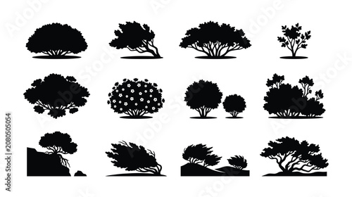 Bild auf Leinwand Black Windswept Shrub Silhouette Vector Set, Coastal Bush and Bent Tree Icons Is