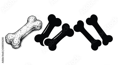 Dog bones in varying styles against a white background bone