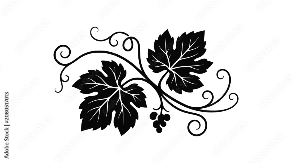 Fototapeta premium Black Silhouette of Grapevine Leaves and Tendrils with Small Bunch of Grapes