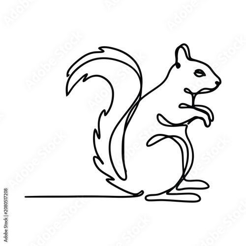 фотографія Squirrel Line Art Illustration On White Background Minimalist Animal Sketch