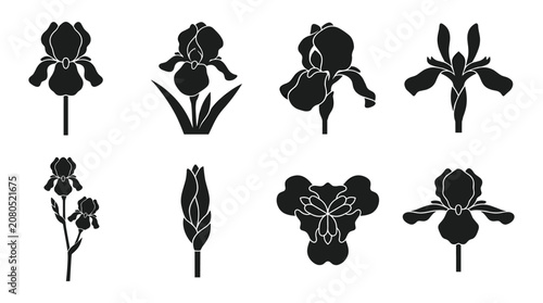 Принти на полотні Detailed Iris Silhouettes, Flat Vector Fleur-de-lis Iridaceae Flower Icon Set an