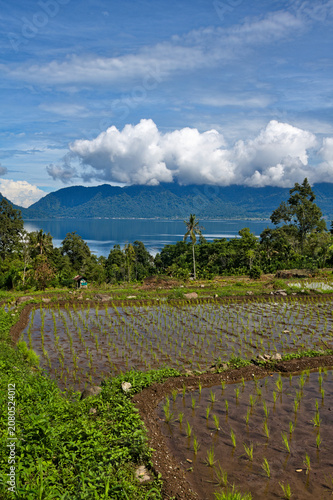 Terraced rice paddies and volcanic lake