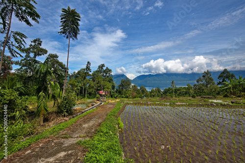 Terraced rice paddies and volcanic lake