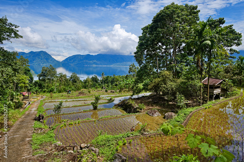 Terraced rice paddies and volcanic lake