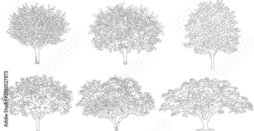 Elegant set of six tree line art illustrations for professional landscape design work
