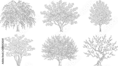 Collection of six ornamental tree illustrations in clean line art style for designers
