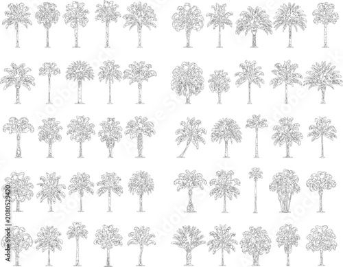 Array of various tropical palm tree sketches for architectural site plan rendering
