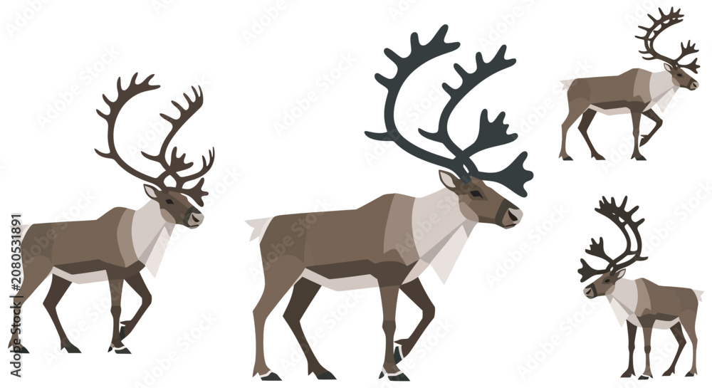 Fototapeta premium Reindeer Illustrations Geometric Style On White Background antler antlers caribou