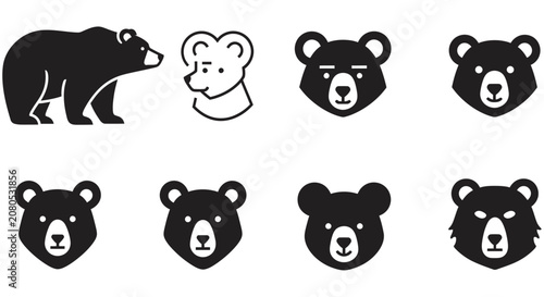 Bear silhouettes and line art on a white background bears