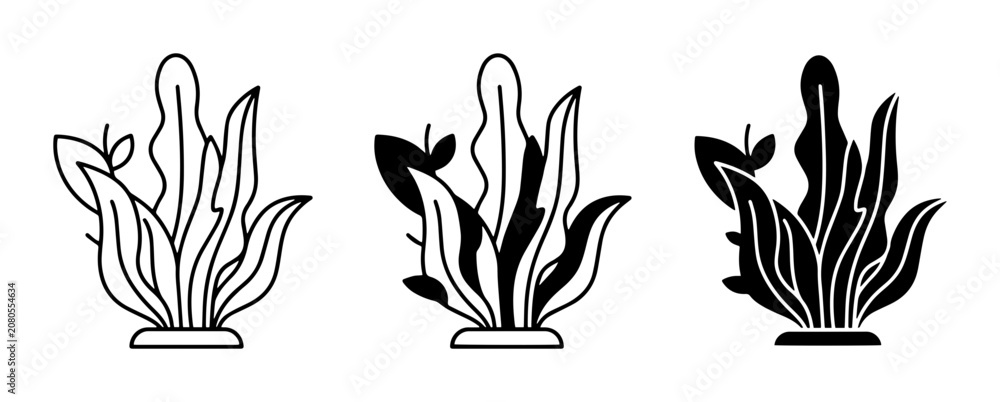 Obraz premium 3 Aquatic Plant Icons, Seaweed Vector Graphics, Underwater Flora Illustrations