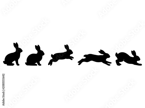 Rabbit Motion Silhouette Sequence