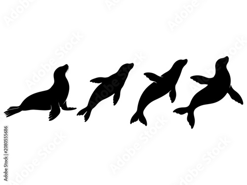 Sea Lion and Seal Silhouette Vector Collection