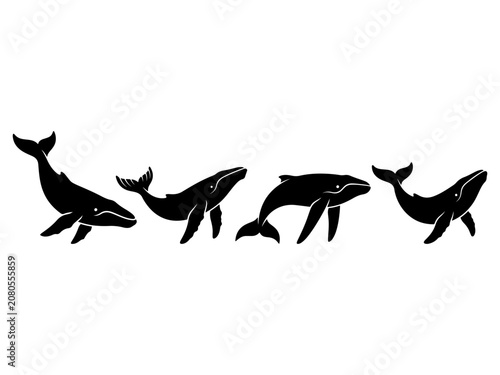 Black Whale Silhouette Vector Set on White Background