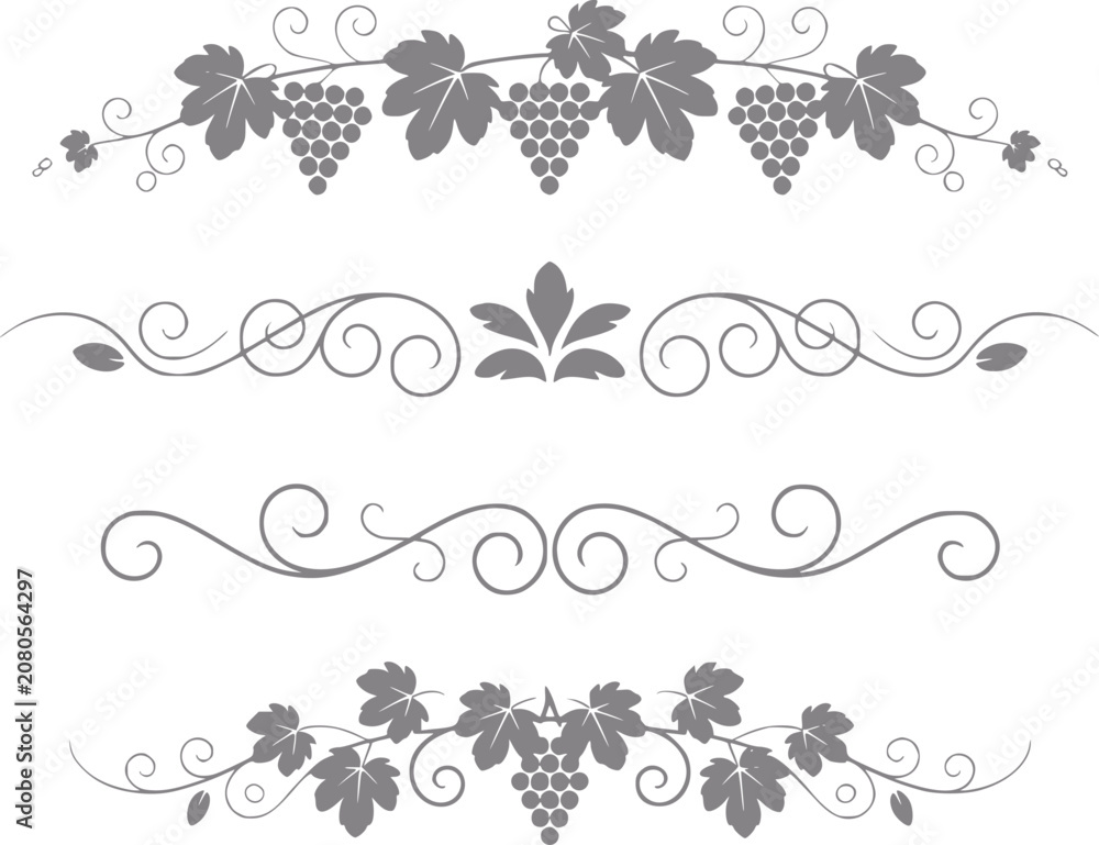 Fototapeta premium Decorative grapevine and swirl borders with floral accents