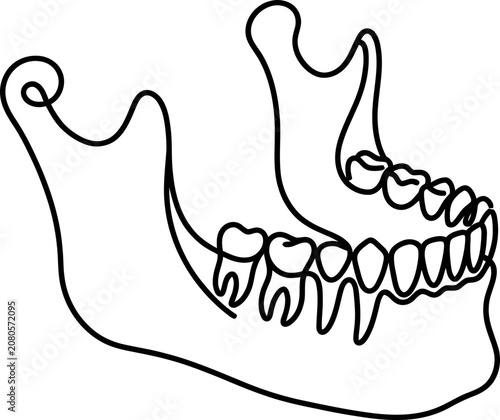 Vászonkép Minimalist continuous line drawing of human lower jawbone with teeth