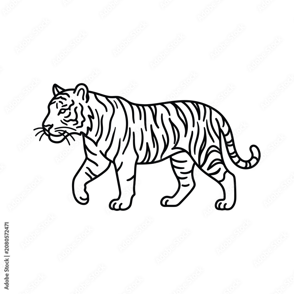Obraz premium Walking tiger thin line drawing vector illustration isolated on grid background wild animal sketch.