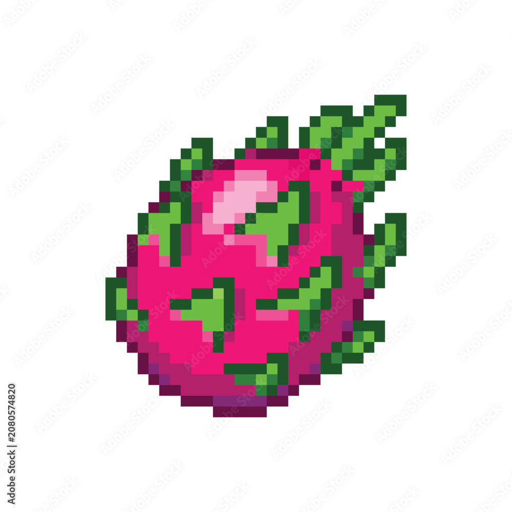 Fototapeta premium Pixel art dragon fruit vector illustration isolated on white background.