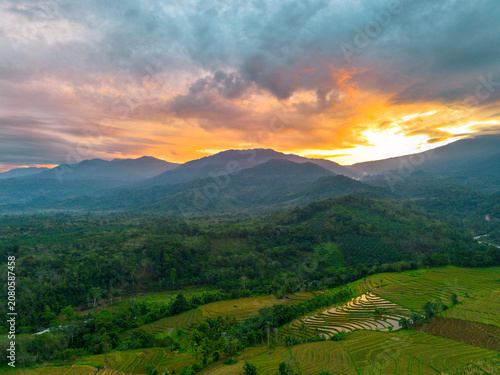 Terraced Rice Fields at Sunrise in Indonesia. Beautiful panoramic view of terraced rice fields surrounded by lush tropical greenery and palm trees