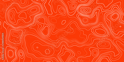 Tableau sur toile Abstract Seamless Pattern with Linear Stylized Salmon Fish Fillet Texture