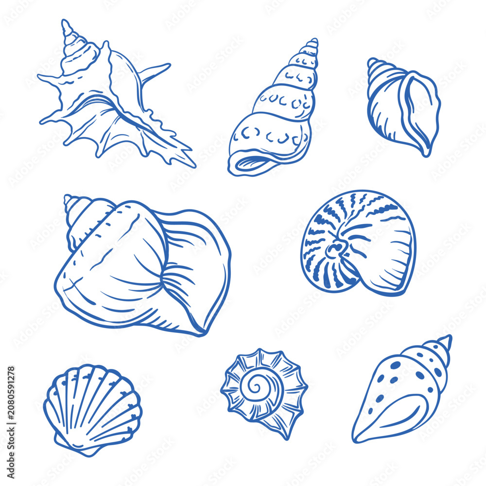 Fototapeta premium Marine seashells set monochrome summer beach sketch design