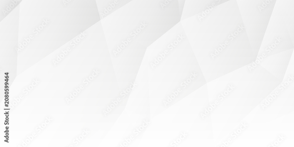 Fototapeta premium Modern minimalist white polygonal texture background. Clean bright gray gradient geometric pattern with subtle shadows.