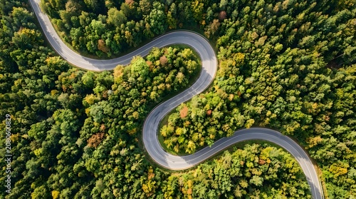 Aerial view of winding forest road through dense green trees