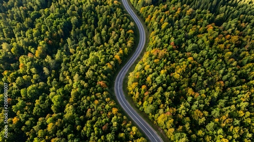 Aerial view of winding road through autumn forest landscape