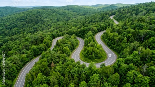 Winding road through a dense green forest landscape
