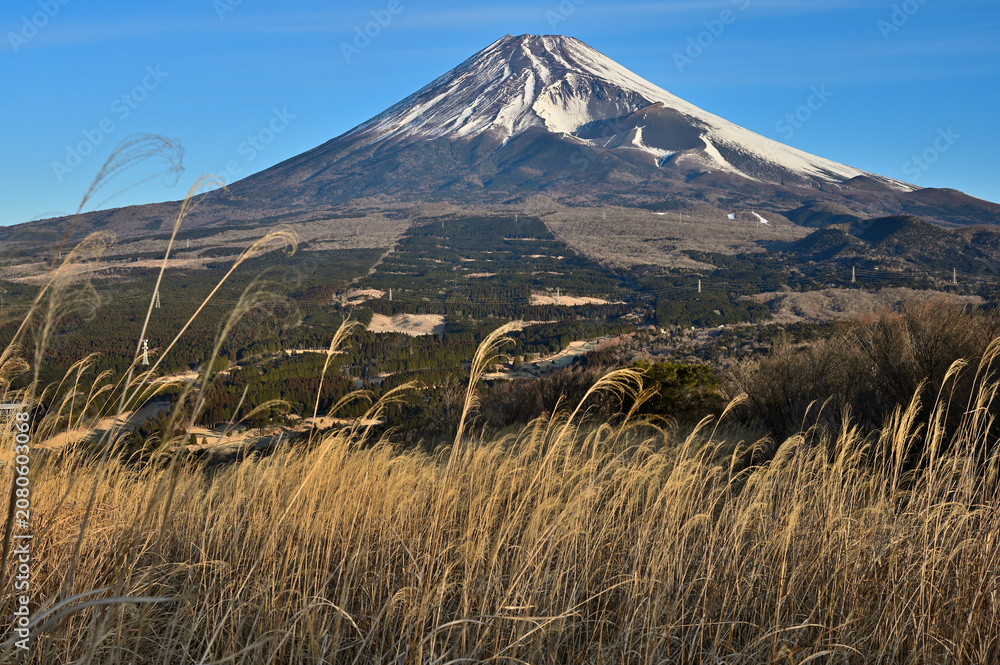 Fototapeta premium 愛鷹山塊の越前岳 朝日射す山地と富士山 