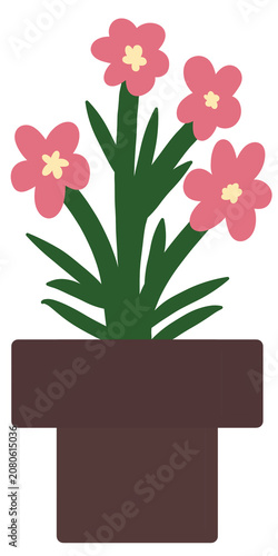 pink flower in pot