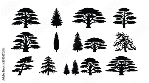 Fotografía Cedar and Pine Tree Silhouette Icon Set Isolated on White Background