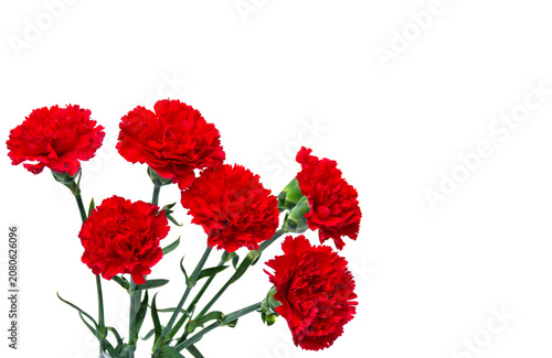 Red carnations bouquet on white background with copy space