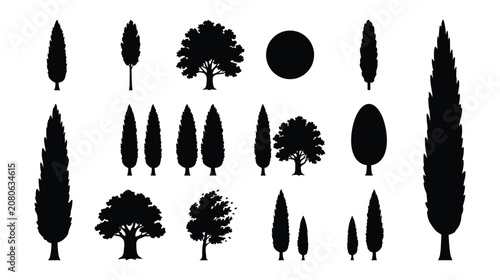 Fotografie Cypress and Tall Tree Silhouette Icon Set Isolated on White Background