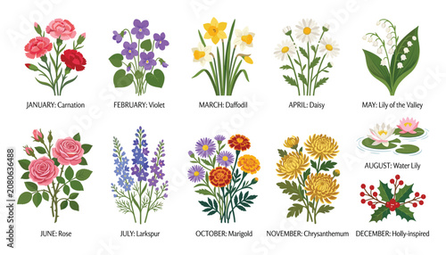 Birth Month Flowers Flat Vector Collection with Monthly Botanical Blossoms and Floral Calendar Illustration Isolated on White Background