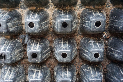 Εκτύπωση καμβά Close up of a turtle shell