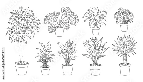 Hand Drawn Indoor Houseplants Line Art Vector Collection with Potted Tropical Plants Botanical Outline Illustrations Isolated on White Background