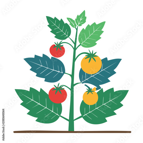 Flat Design Illustration of Tomato Plant with Fruits