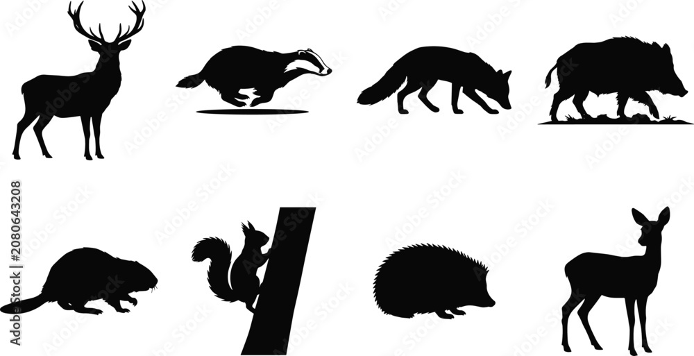 Fototapeta premium Collection of black vector silhouettes of wild forest animals including deer badger fox boar squirrel and hedgehog