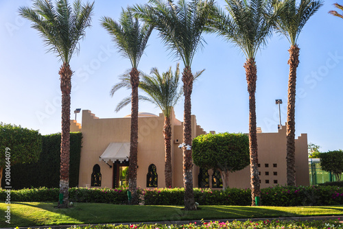residential apartment building surrounded by palm trees in an Arab country under clear blue sky.