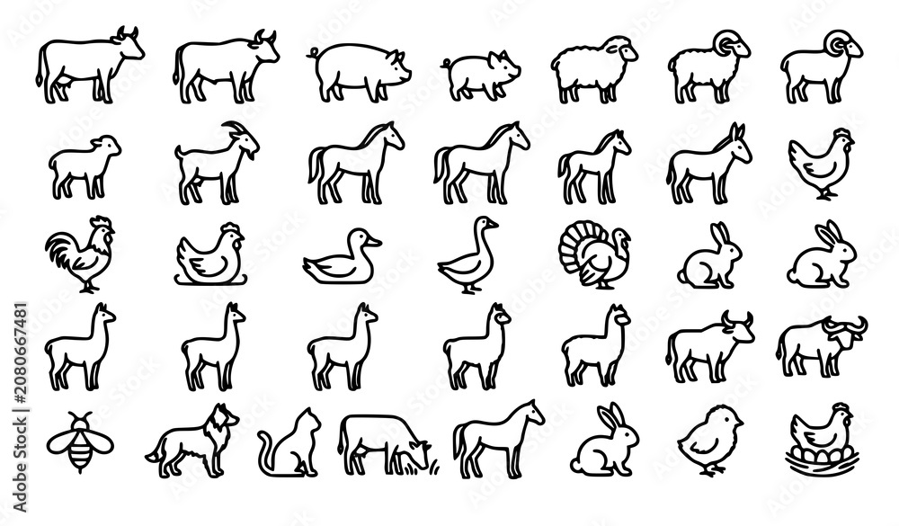 Fototapeta premium farm, animals, livestock, domestic, agriculture, cow, pig, sheep, goat, horse, donkey, rabbit, chicken, hen, rooster, duck, goose, buffalo, llama, alpaca, outline, monoline, icon, editable, stroke, ve