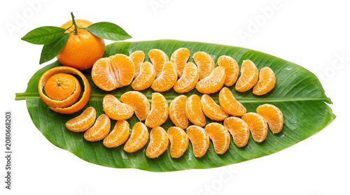 Fresh citrus arrangement with mandarins on a leafy background for healthy lifestyle and cooking inspiration