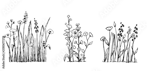 Quadro su tela Vector set of wildflowers in elevation view - isolated on transparent background