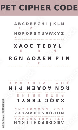 Pet cipher code showing letters and encoded phrases on white background  