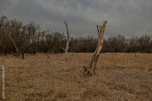 Carl R. Hansen Woods nature reserve  Poplar Creek , Elgin, IL 