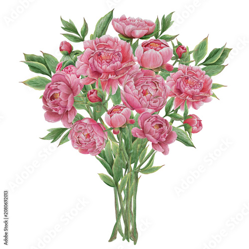 Vintage Watercolor Peony Tea Party Clipart Set A bouquet of peonies Botanical Collection Hand drawing PNG transparent background