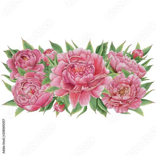 Vintage Watercolor Peony Tea Party Clipart Set Horizontal composition of peonies Botanical Collection PNG transparent background