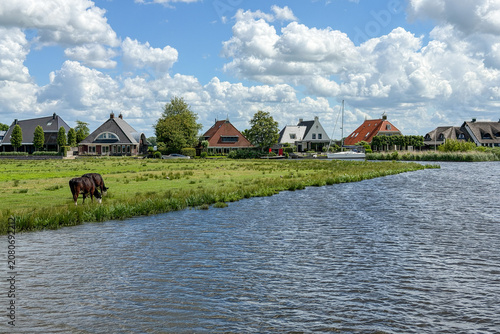 Foto Kuh am Kanal vor friesischen Häusern und Wolkenhimmel, Joure, Friesland, Niederl