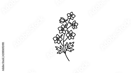 Hand drawn black line art illustration of delicate wildflowers on white background
