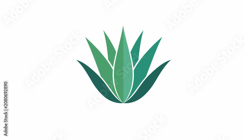 Green succulent plant logo on white background.