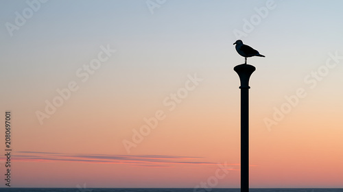 Silhouette of a proud bird (laridae) perches calmly atop an old lamppost against a tranquil, pastel sunset sky and distant ocean view